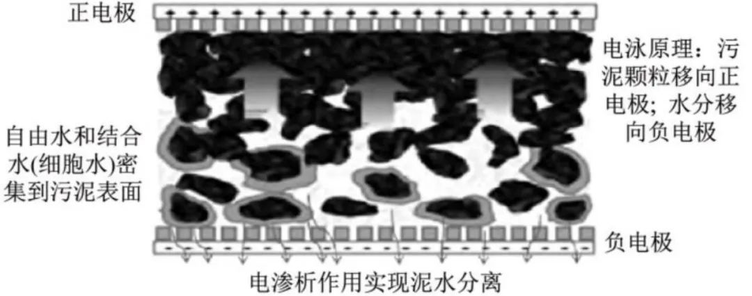 1675846792678639.jpg 微信圖片_20230208163600.jpg