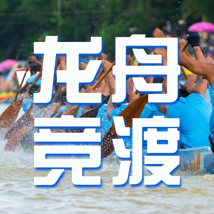 觀龍舟競渡｜體驗(yàn)一場速度與激情的盛宴